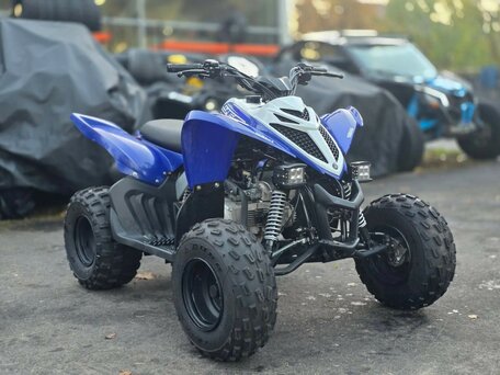 2019 Yamaha Raptor YFM90, синий, 220000 рублей, вид 3