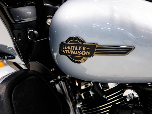 2023 Harley-Davidson Road Glide Limited, серебристый, 3150000 рублей - вид 5