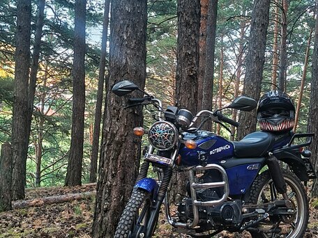 2020 Racer RC110N, синий, 75000 рублей, вид 2