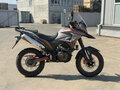 2026 Rockot Dakar, серый, 171400 рублей - вид 2