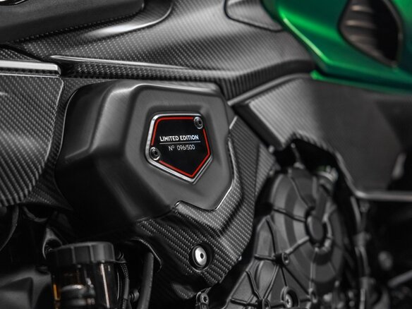 2024 Ducati Diavel V4, зелёный, 9900000 рублей - вид 29