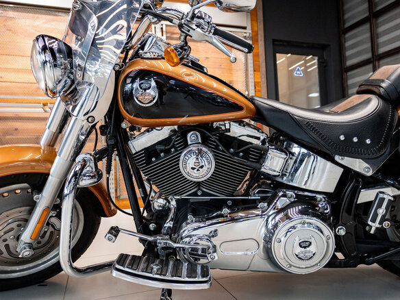 2008 Harley-Davidson Fat Boy, золотистый, 1300000 рублей - вид 31