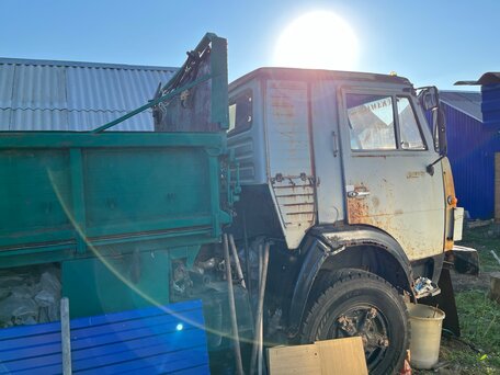 1993 КамАЗ 55102, серый, 350000 рублей, вид 4
