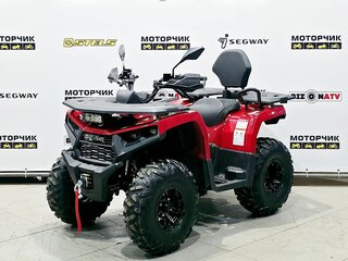 2025 Bison 250U, красный, 309900 рублей, вид 1