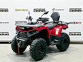 2025 Bison 250U, красный, 309900 рублей