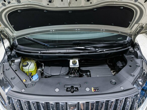 2024 Wey 80 Premium 37.96 kWh, золотистый, 6899000 рублей - вид 29