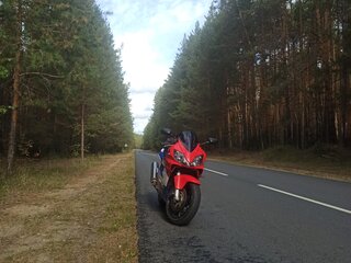 2001 Honda CBR 600F, красный, 450000 рублей, вид 5