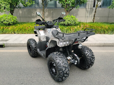 2025 Motax Grizlik 200, чёрный, 206700 рублей, вид 4