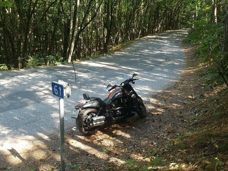 2012 Harley-Davidson Night Rod, чёрный, 1790000 рублей, вид 5
