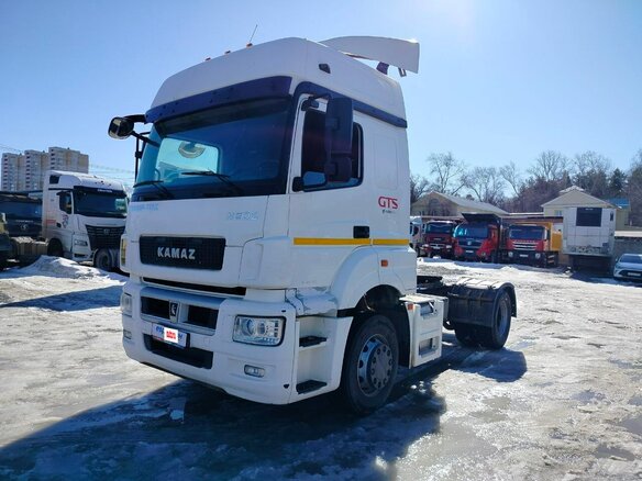2021 КамАЗ 5490, белый, 3300000 рублей - вид 8