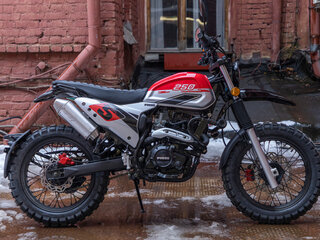 2025 Fuego Rambolor 250, красный, 159900 рублей, вид 4