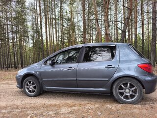 2007 Peugeot 307 I Рестайлинг, серый, 375000 рублей, вид 3