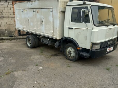 1990 Iveco Daily, белый, 355000 рублей, вид 2