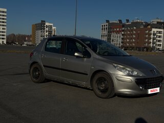 2006 Peugeot 307 I Рестайлинг, серый, 230000 рублей, вид 1