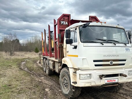 2018 КамАЗ 43118, белый, 6150000 рублей, вид 3