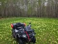 2021 CFMoto CFORCE 600 EPS, серый, 1000000 рублей - вид 3