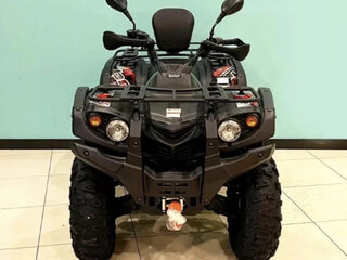 2025 Baltmotors Striker 700, чёрный, 752300 рублей, вид 5