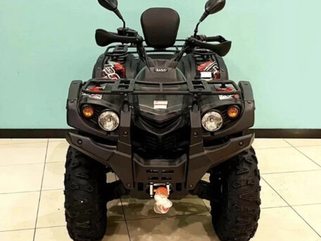 2025 Baltmotors Striker 700, чёрный, 752300 рублей, вид 5