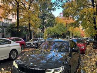 2019 BMW 3 серии 320d VII (G2x), серый, 3795000 рублей, вид 4