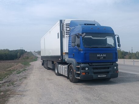2008 MAN TGA, синий, 3300000 рублей, вид 1