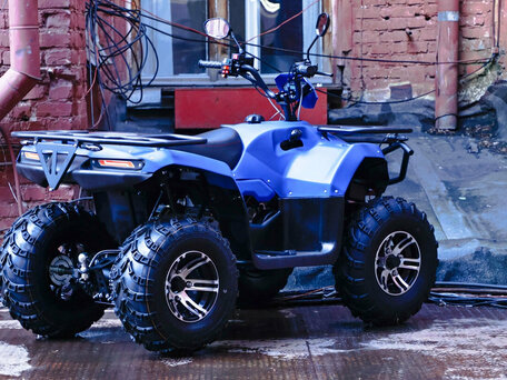2024 Irbis ATV 250U, синий, 344900 рублей, вид 4