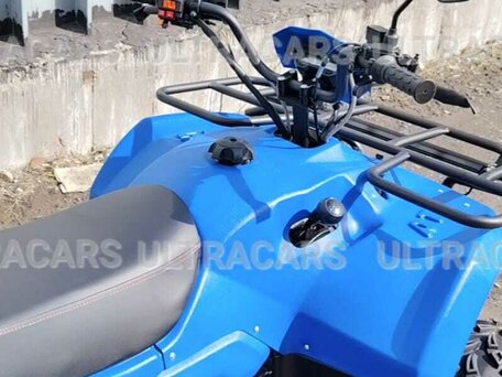 2026 Irbis ATV 200U, синий, 235196 рублей, вид 4