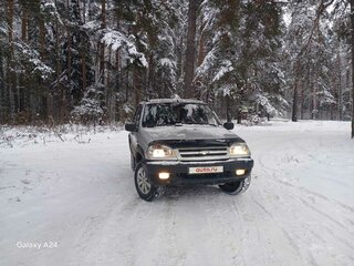2003 Chevrolet Niva I, серебристый, 320000 рублей, вид 1