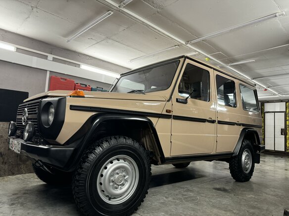 1989 Mercedes-Benz G-Класс 230 5-speed I (W460; W461), бежевый - вид 14
