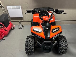 2023 Yacota Raposa, красный, 86000 рублей, вид 1