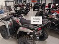 2026 Loncin XWolf 300 Max, серый, 485000 рублей - вид 4