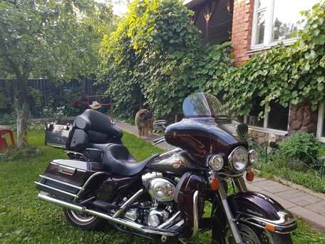 2004 Harley-Davidson Electra Glide, оранжевый, 900000 рублей, вид 3