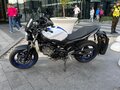 2017 Suzuki SV 650, белый, 550000 рублей - вид 11