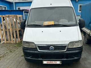 2005 Fiat Professional Ducato, белый, 710000 рублей, вид 1