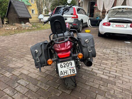 2016 Harley-Davidson Street 750, красный, 585000 рублей, вид 4