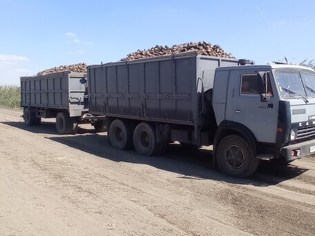 1990 КамАЗ 5320, серый, 850000 рублей, вид 2