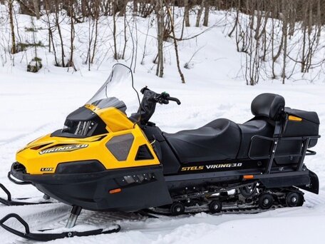 2024 Stels Viking 600, жёлтый, 470000 рублей, вид 3