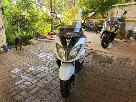 2014 Sym Joyride, белый, 130000 рублей, вид 1