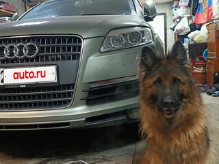 2006 Audi Q7 I (4L), зелёный, 1400000 рублей, вид 2