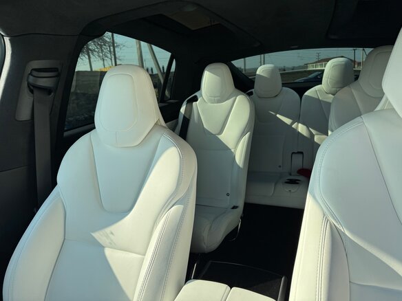 2019 Tesla Model X 100D I, белый, 3900000 рублей - вид 12