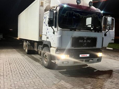 1994 MAN F 2000, белый, 1300000 рублей, вид 1
