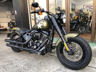 2016 Harley-Davidson Softail Slim, зелёный, 1770000 рублей, вид 1