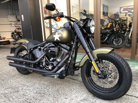 2016 Harley-Davidson Softail Slim, зелёный, 1770000 рублей, вид 1