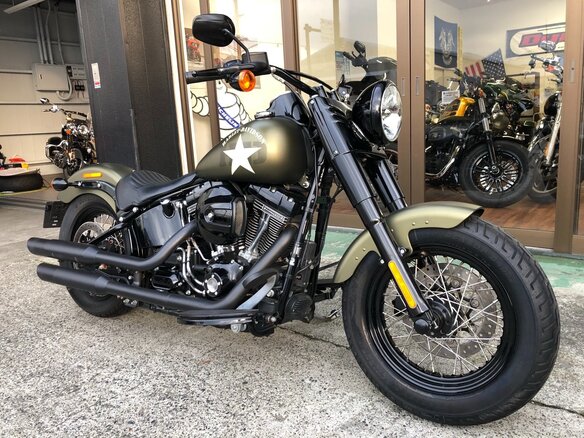 2016 Harley-Davidson Softail Slim, зелёный, 1770000 рублей