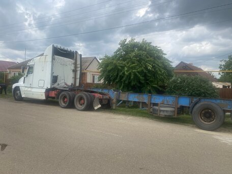2003 Freightliner FLC, белый, 1200000 рублей, вид 2