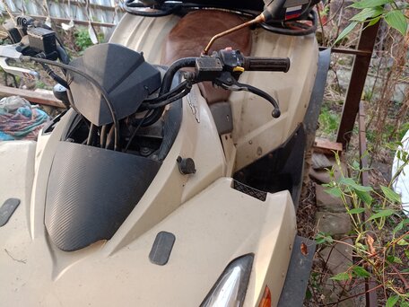 2010 Sym QuadLander, бежевый, 260000 рублей, вид 3