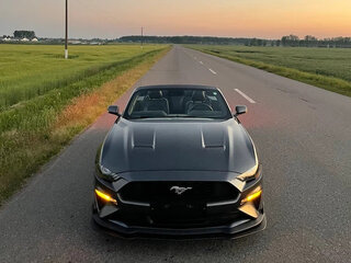 2019 Ford Mustang VI Рестайлинг, серый, 4400000 рублей, вид 1