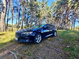 2019 Opel Insignia II, синий, 1600000 рублей, вид 1