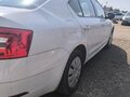 2019 Skoda Octavia III (A7) Рестайлинг, белый, 1180000 рублей - вид 4