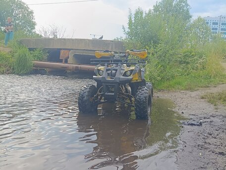 2017 Motoland ATV 125 Fox, золотистый, 100000 рублей, вид 5