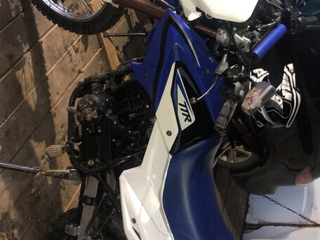 2021 Irbis TTR 250, синий, 150000 рублей, вид 4